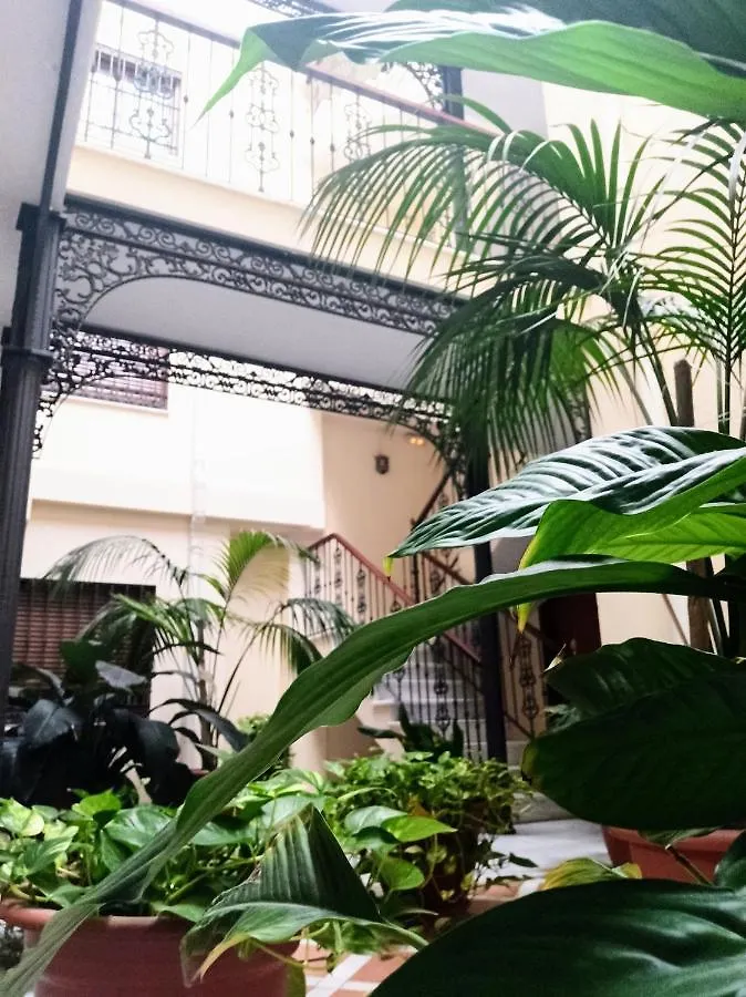 Apartment Botanic Suite Malaga